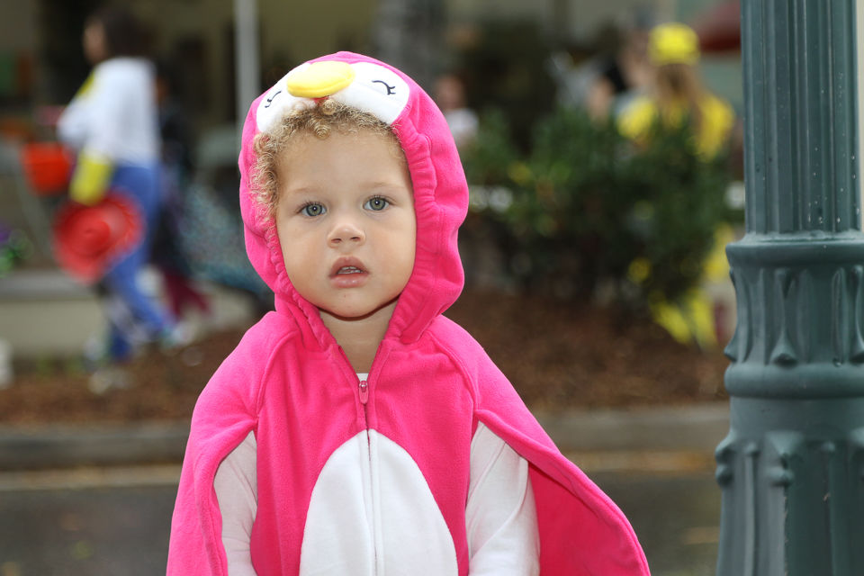 Halloween Trick or Treat Downtown Morganton 2019-9510.JPG